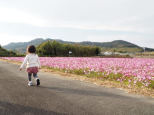 2歳で断乳したけど夜泣きは続くよ