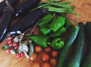 田舎暮らしの野菜